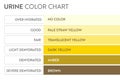 Urine color chart .