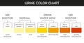 Urine color chart .