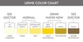 Urine color chart .