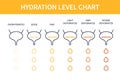 Urine color hydration chart illustration of bladders