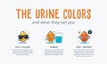 The Urine Color Information with cute character