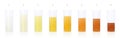 Urine Color Specimen Cups Clear Yellow Darker Dehydration Royalty Free Stock Photo