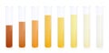 Urine Samples Colors Dehydration Chart Specimen Test Tubes Yellow Orange Royalty Free Stock Photo