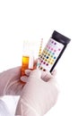 Urine test stripes examined by a nurse. Lab sample Royalty Free Stock Photo