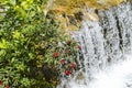 Amazing waterfall in bucegi Mountains, Urlatoarea waterfall