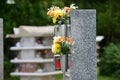 Urn cemetery in St. Martin, Linz, Upper Austria, Austria, Europe