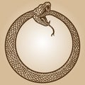 Uroboros, snake coiled in a ring, biting its tail. Engraving sketch scratch board imitation sepia.