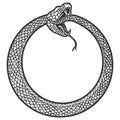 Uroboros, snake coiled in a ring, biting its tail. Scratch board imitation. Black and white hand drawn image. Royalty Free Stock Photo