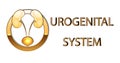 Urogenital system,kidneys, bladder, emblem,symbol, sign, stylized gold,