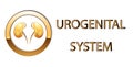 Urogenital system,kidneys, symbol, sign, stylized gold,