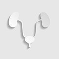 Urogenital system sign. Paper style icon. Illustration