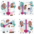 Urologist concept set. Urinary system examination, kidney and bladder