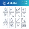 Urology set Vector isolated Illustration on white background for menus, recipes and packages product