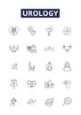 Urology line vector icons and signs. health, medicine, medical, doctor, disease, care, urologist,anatomy outline vector