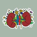 Urology and urology and nephrology, kidneys health