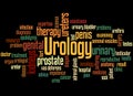 Urology word cloud concept 2 Royalty Free Stock Photo