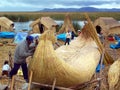 UROS ISLANDS, LAKE TITICACA, PERU - January 3, 2007: Uros men build a totora reed boat. Royalty Free Stock Photo