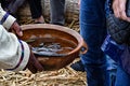 Uros floating islands-totora-live fish-puno-Peru- 518