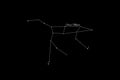 Ursa Major constellation, Cluster of stars, Great Bear constellation Royalty Free Stock Photo