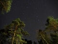 Big dipper stars on night sky over green forest Royalty Free Stock Photo