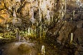 Ursus spelaeus cave in romanian mountains transilvania
