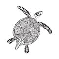 Urtle isolated on white background. Royalty Free Stock Photo