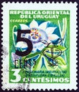 URUGUAY - CIRCA 1958: A stamp printed in Uruguay shows Blue passion flower Passiflora caerulea, circa 1958. Royalty Free Stock Photo