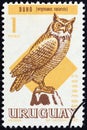 URUGUAY - CIRCA 1968: A stamp printed in Uruguay from the `Birds ` issue shows Great horned owl Bubo virginianus nacurutu