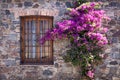 Uruguay, colonial streets of Colonia Del Sacramento in historic center of Barrio Historico