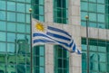 Uruguayan Flag in wind