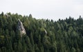 Urych Rocks view in Carpathian Mountains Royalty Free Stock Photo