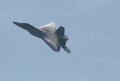 US Air Force F22 Raptor