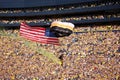 US Airborne parachutist travels past the crowd at