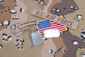 US ARMY airborne tab with blank dog tags Royalty Free Stock Photo