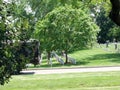 US Army soldiers planting American flags at Arlington cemetary