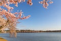 US capital city landscape in spring during the National Cherry Blossom Festival Royalty Free Stock Photo