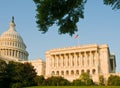 US Capitol building Royalty Free Stock Photo