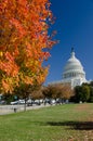 US Capitol building in Autumn, Washington DC, USA