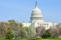 US Capitol building in spring - Washington DC Royalty Free Stock Photo