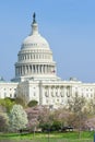 US Capitol building in spring - Washington DC Royalty Free Stock Photo