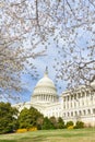 US Capitol building in spring, Washington DC, USA Royalty Free Stock Photo