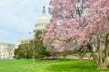 US Capitol building in spring, Washington DC, USA Royalty Free Stock Photo