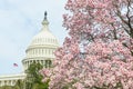 US Capitol building in spring, Washington DC, USA Royalty Free Stock Photo