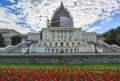 US Capitol Building in Spring Washington DC Royalty Free Stock Photo