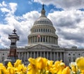 US Capitol Building in Washington DC, a government building iconic landmark symbol of democracy Royalty Free Stock Photo