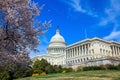 US Capitol Building - Washington DC United States Royalty Free Stock Photo