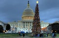 US Capitol Christmas Tree