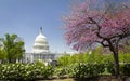 The US Capitol in Washington DC at spring Royalty Free Stock Photo