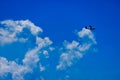 US Coastguard airplane in flight on blue sky over Miami Royalty Free Stock Photo