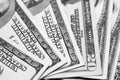 US dollar bills closeup / black and white photo Royalty Free Stock Photo